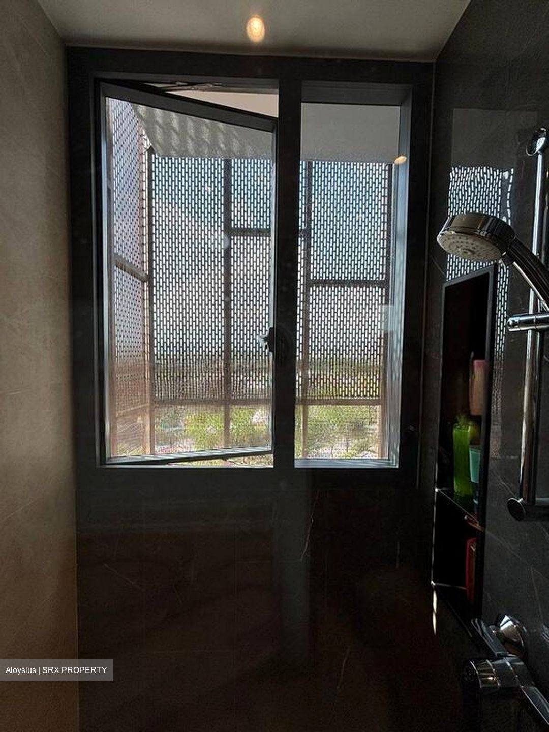 Parc Clematis (D5), Apartment #475030211